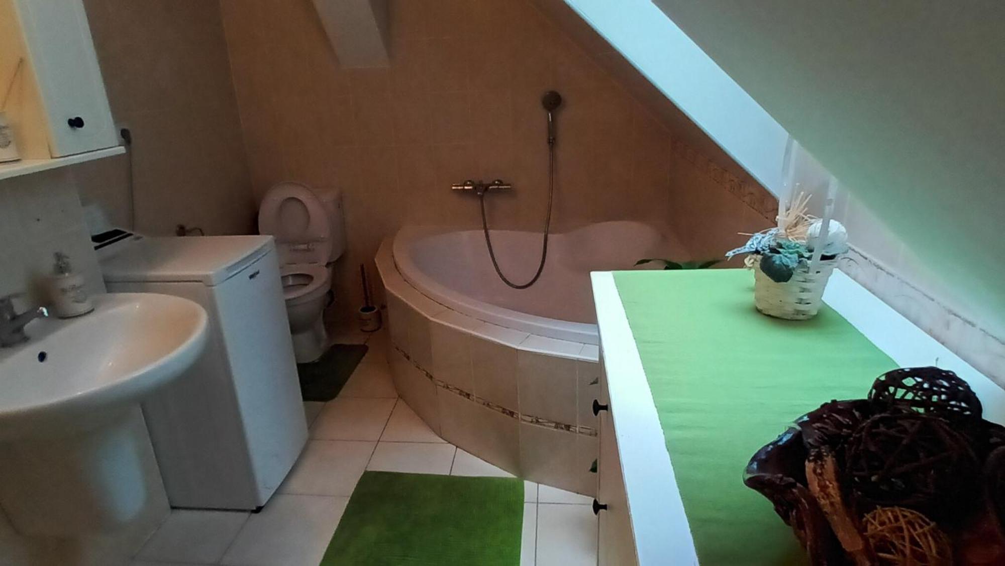 Apartmany Pod Putimskou Branou Písek Buitenkant foto